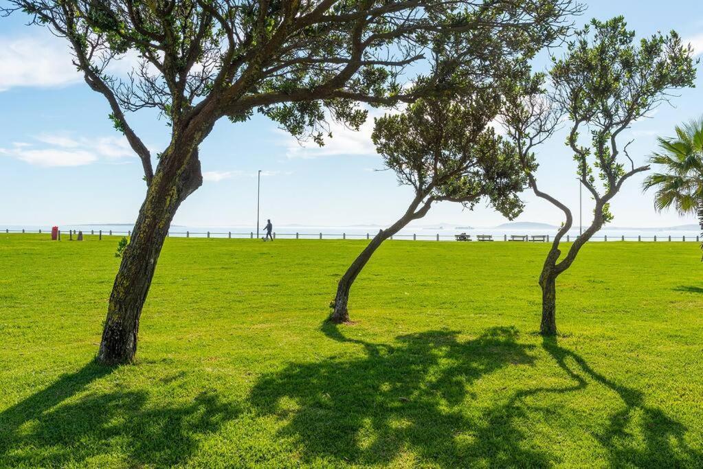 Modern, Sunfilled Urban At The Harri W/views * Cape Town